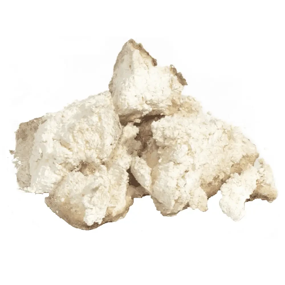 Агарікус гриб 1000 г, фото 1