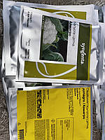 Насіння капусти цвітної Алмагро F1 (Альмагро F1), середньостиглий гібрид, "Syngenta" (Швейцарія), 2 500 шт