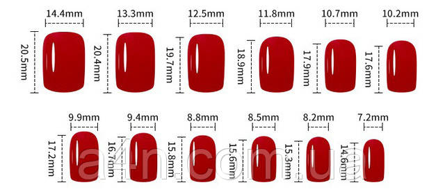 Накладные ногти - Интернет-магазин A4N Размеры накладных ногтей
