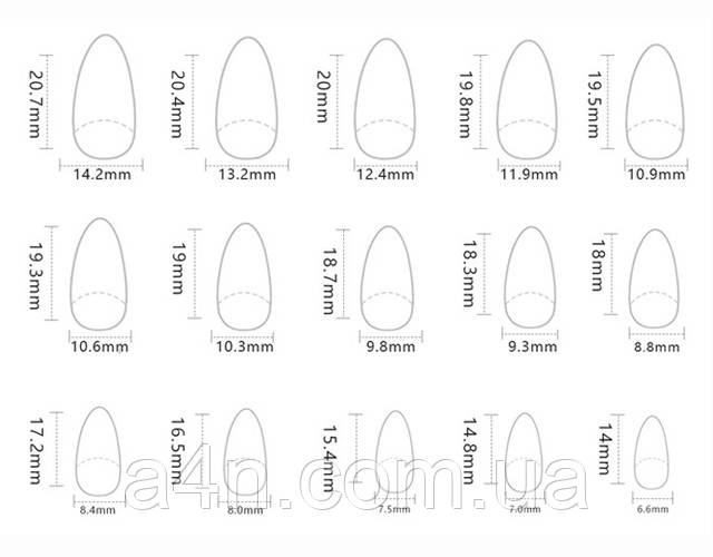 Накладные ногти - Интернет-магазин A4N Размеры накладных ногтей