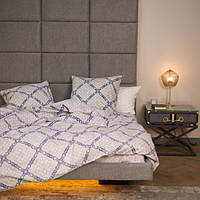 Постільна білизна Вілюта євро 21161