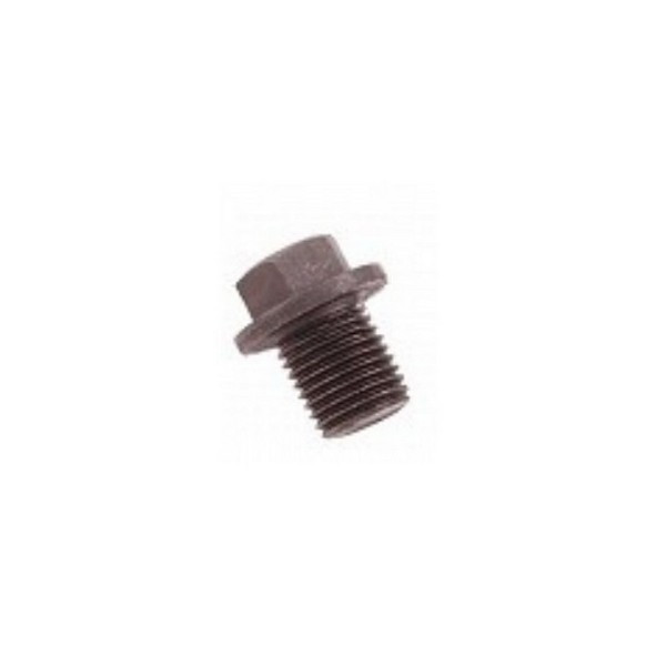Пробка болт зливний піддона Chery Amulet (2003-) Чері Амулет. 480-1009014