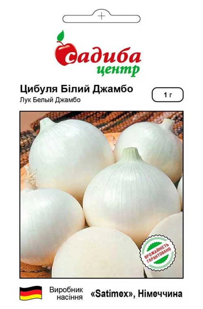 Цибуля Білий Джамбо 1 г насіння, фото 1