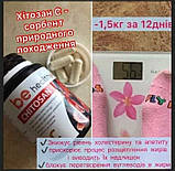 Набір "DETOXSLIM + DETOX синій + хітозан" для схуднення, фото 6