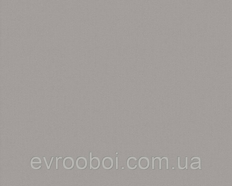Однотонные темно серые обои, 222428: купить в Украине, интернет ...
