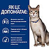 Корм для котів Хіллс Hills PD Feline k/d Kidney Care з тунцем 3кг при нирковій та сердечній недостатності, фото 6