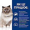 Корм для котів Хіллс Hills PD Feline R/D Weight Loss з куркою 3кг при ожирінні, для зниження ваги, фото 4
