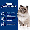 Корм для котів Хіллс Hills PD Feline R/D Weight Loss з куркою 3кг при ожирінні, для зниження ваги, фото 5