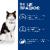 Сухий корм для котів Хіллс Hill’s PD y/d Thyroid Care для підтримки здоров’я щитоподібної залози, 3 кг т.п.11.26, фото 3