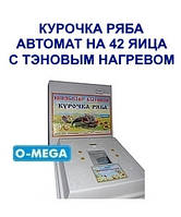 Інкубатори автоматичні Курочка Ряба на 42 яйця ТЕНи литий пінопластовий корпус