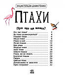 Птахи. Енциклопедія дошкільника. Каспарова Ю.В., фото 2