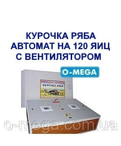 Інкубатори автоматичні Курочка Ряба на 120 яєць із вентилятором