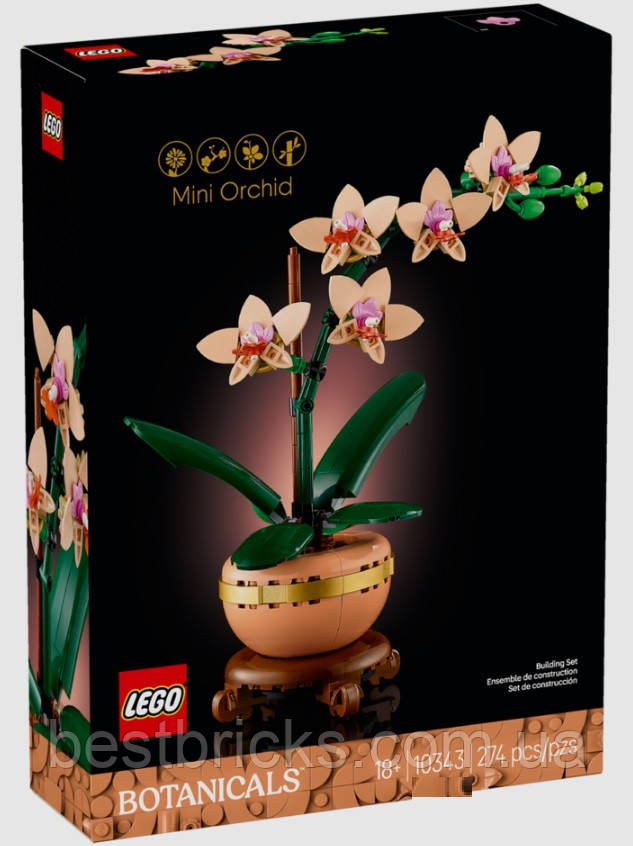 Конструктор Lego Botanicals Міні орхідея 10343, фото 1