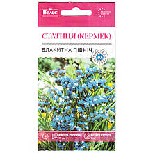 Насіння кермека "Блакитна північ" (0,2 г) від ТМ "Велес"