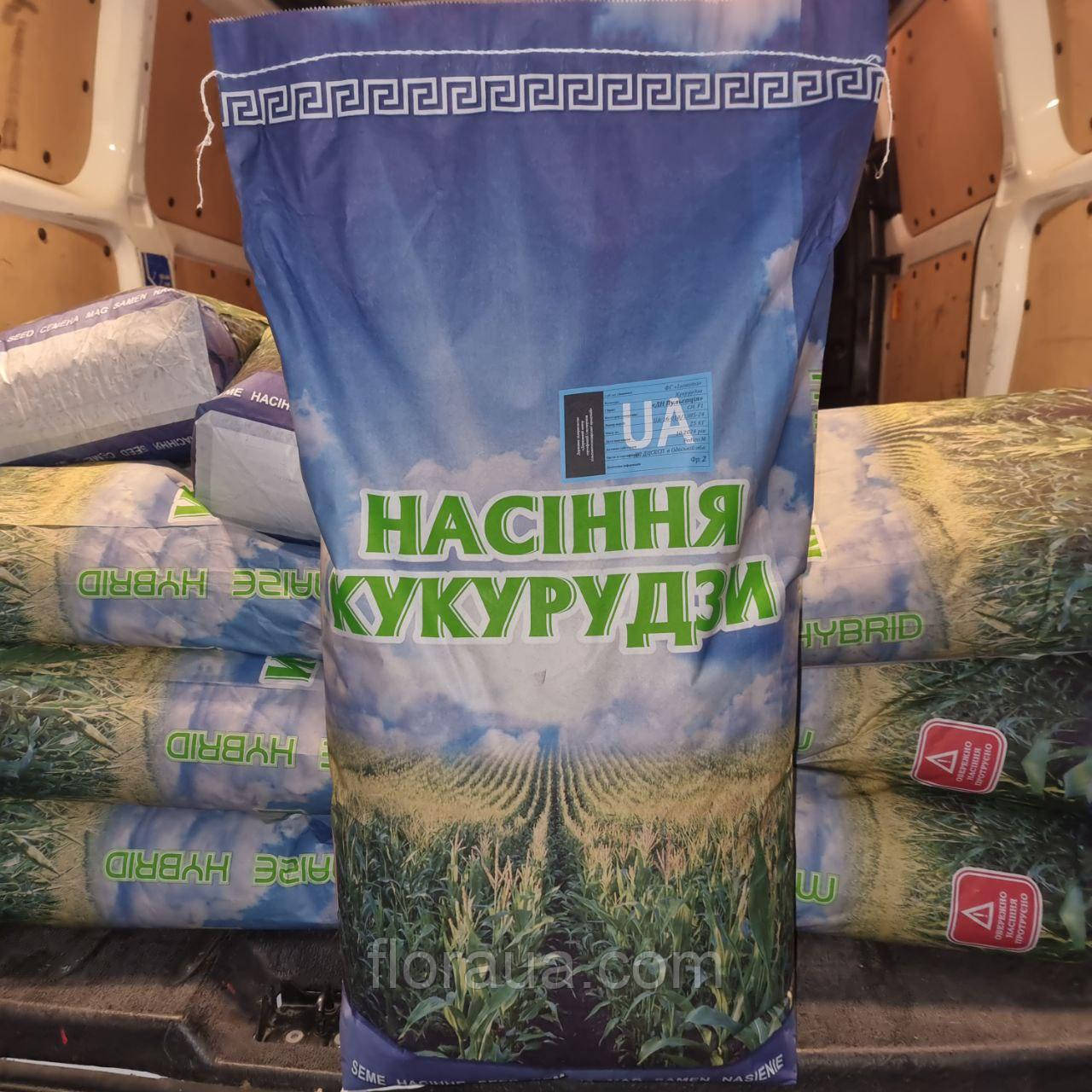 Насіння кукурудзи ДН РАВА ФАО 500