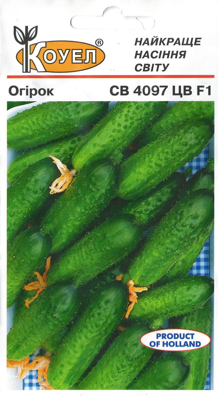 Насіння Огірка СВ 4097 F1 10шт ТМ КОУЕЛ