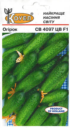 Насіння Огірка СВ 4097 F1 10шт ТМ КОУЕЛ, фото 1