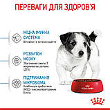 Сухий корм Royal Canin Mini Puppy для цуценят малих порід 0,8кг, фото 4