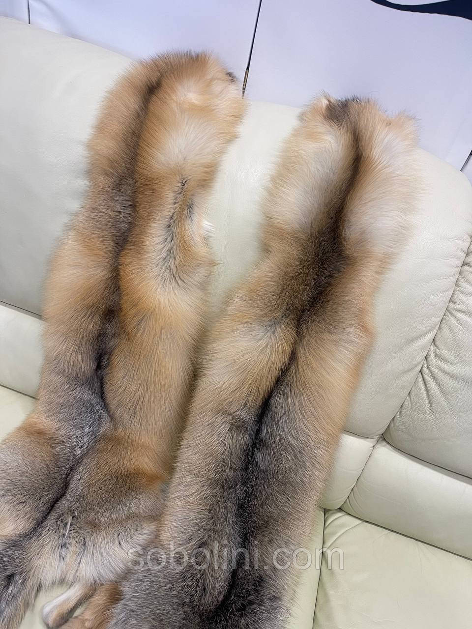 Island Fox, фото 1