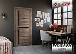 Двері LARIANA, фото 5