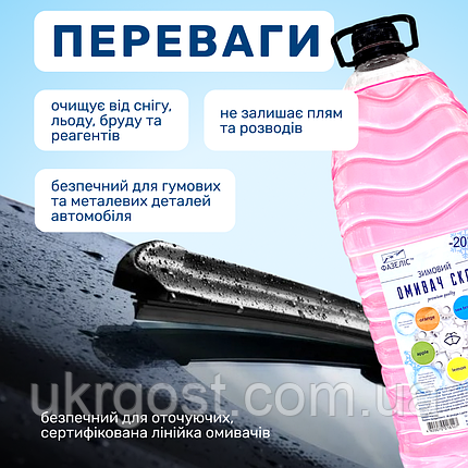 Очищувач скла Зимовий Фазеліс Buble Gum -20 °С 4 л, фото 3