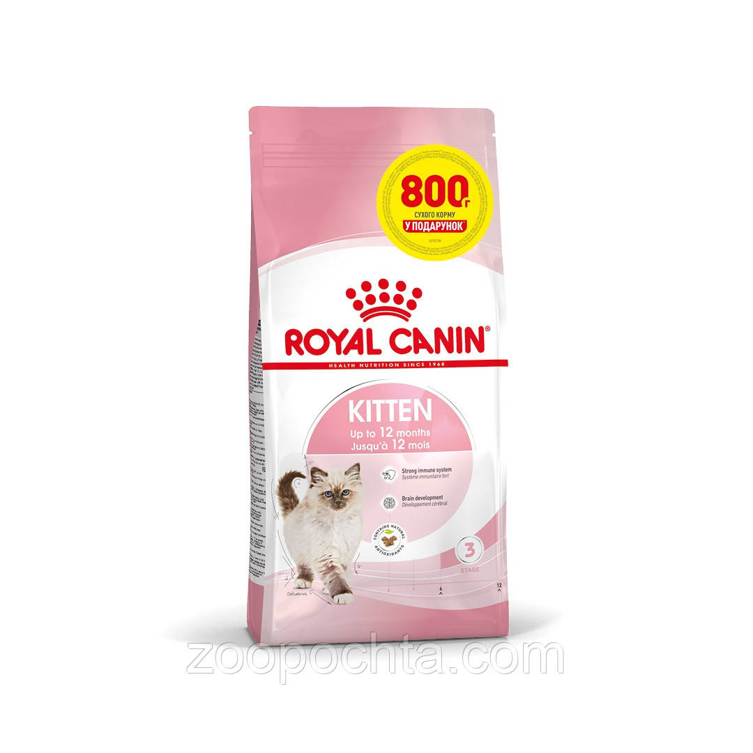 Акція! Сухий корм Royal Canin Kitten (Роял Канін Кітен) для кошенят, 3.2 кг + 800 гр у подарунок!