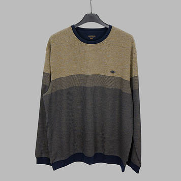 Реглан чоловічий Caporicco 9410 SPR BTL SAFRAN 70% бавовна 20% віскоза 10% акрил 5XL(Р)