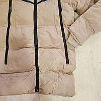 Куртка утеплена для хлопчиків, F&D, 4-12 років, № 6630-1, фото 3