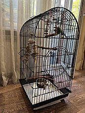 Велика клітка Lucky Birds для середніх папуг, 100 х 48 х 48 см, з верхом, що відкривається, фото 5