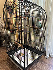 Велика клітка Lucky Birds для середніх папуг, 100 х 48 х 48 см, з верхом, що відкривається, фото 4