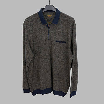 Реглан чоловічий Caporicco 9248 SPR BTL BADEM 70% бавовна 20% віскоза 10% акрил 5XL(Р)