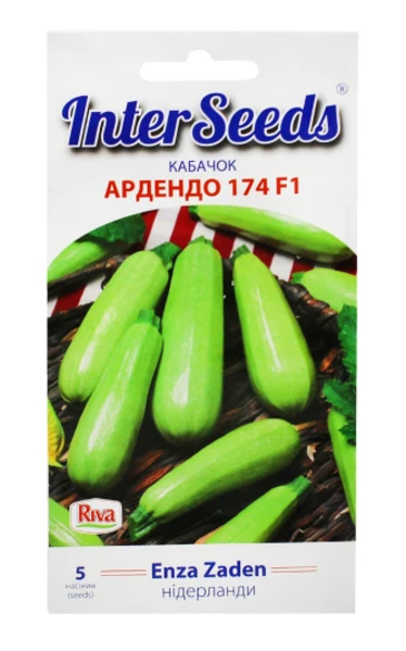 Насіння Кабачок “Ардендо” 5 шт, Enza Zaden, Нідерланди
