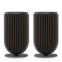 Bang & Olufsen Beolab 8 Black Anthracite