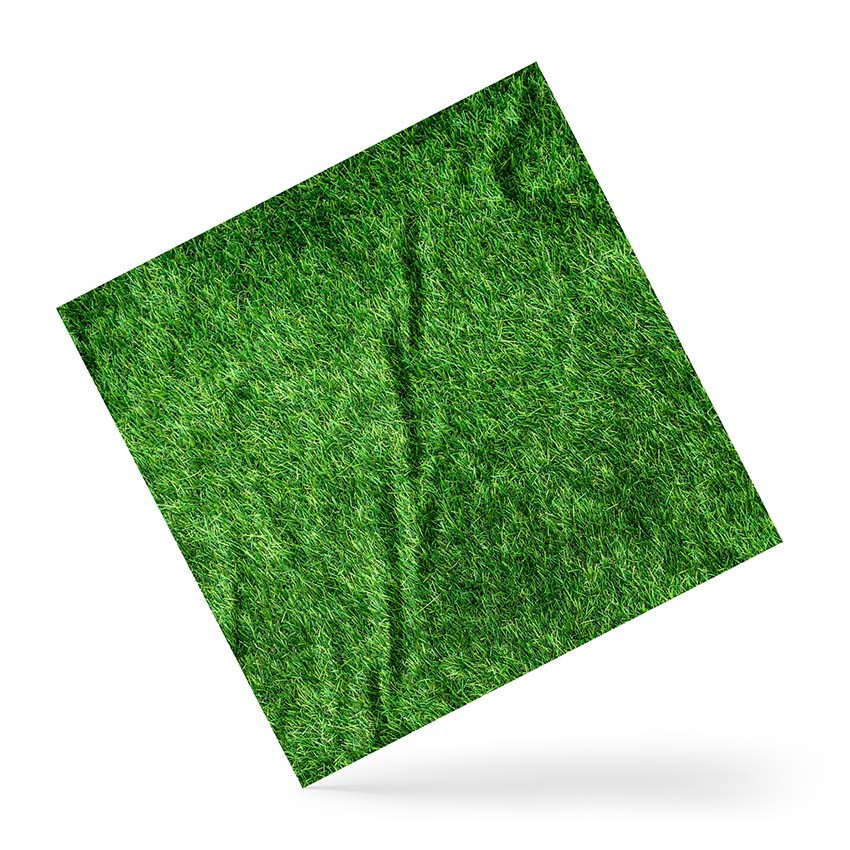 Хустка на голову і шию «Зелена трава. Green grass»