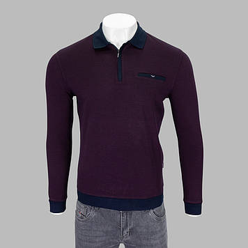 Реглан чоловічий Caporicco 9287 BORDO 70% бавовна 20% віскоза 10% акрил M(Р)