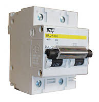 Автоматичний вимикач ВА27-100 2Р 125A 10кА D TechnoSystems