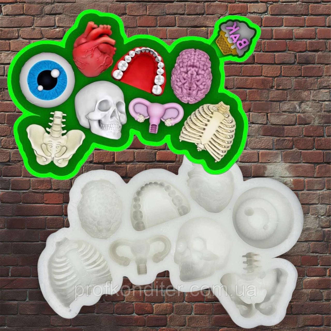 ЕКСКЛЮЗИВ! Силіконовий Молд для ГІПСУ та ін "ЦУКЕРКИ - Анатомія", фото 1
