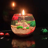 Гелева свічка Чародійка куля сукуленти кактуси червона, фото 5
