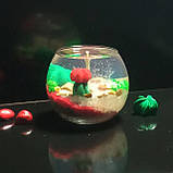 Гелева свічка Чародійка куля сукуленти кактуси червона, фото 4