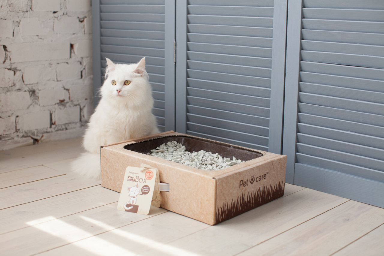 Туалет для котів Kittybox (Кітібокс) Еко-лоток для котів Гігієнічне місце для відходів домашнього улюбленця - фото 1 - id-p1574539540