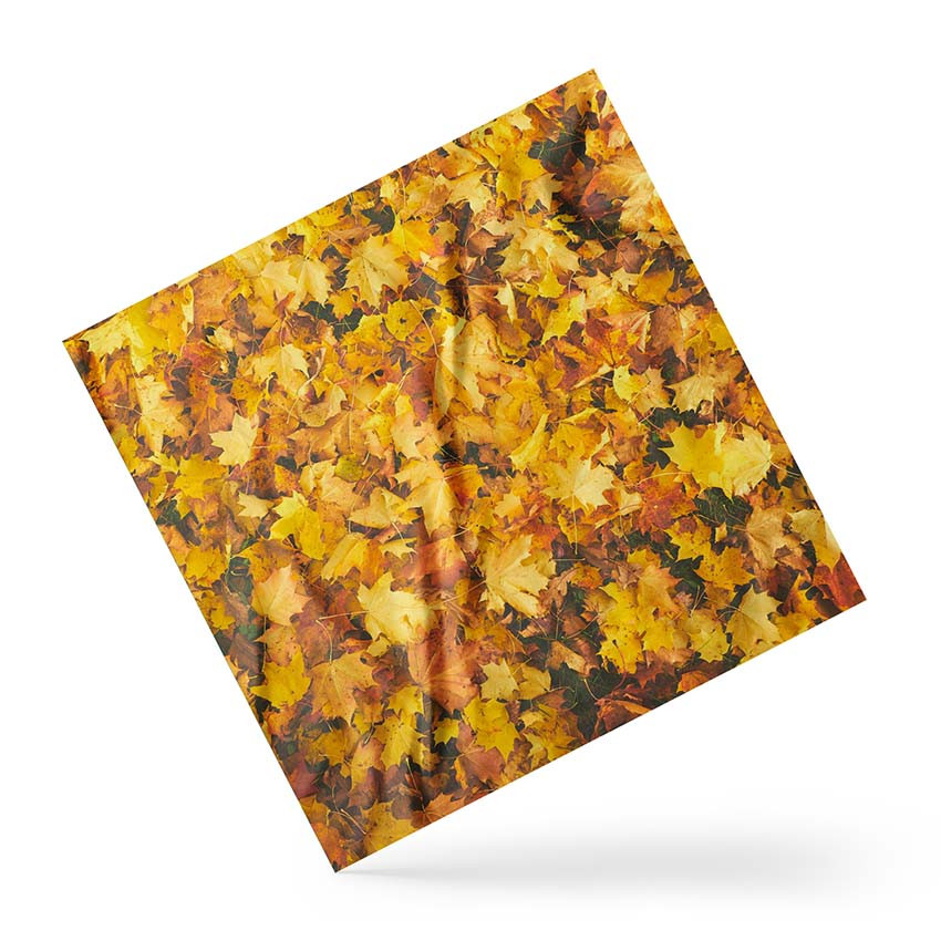 Хустка на голову і шию «Опале осіннє листя. Fallen autumn leaves»