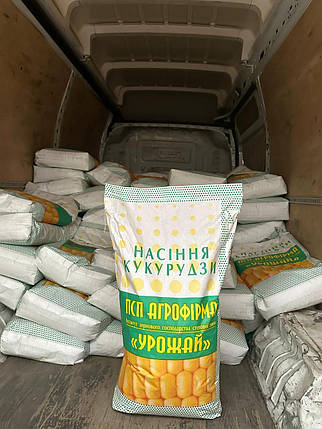 ДБ Хотин ФАО 280, посухостійке насіння кукурудзи, фото 3
