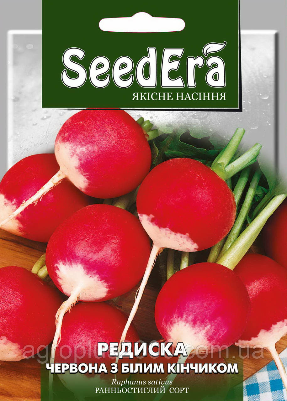 Насіння Редис Червоний із білим кінчиком 20 грамів SeedEra