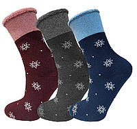 Шкарпетки махрові теплі без гумки 6 пар Xteam Житомир (314) р.36-40 різні кольори