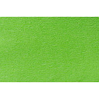 Папір гофрований 50х200 см 110% ПОШТУЧНО, салатовий, фото 2