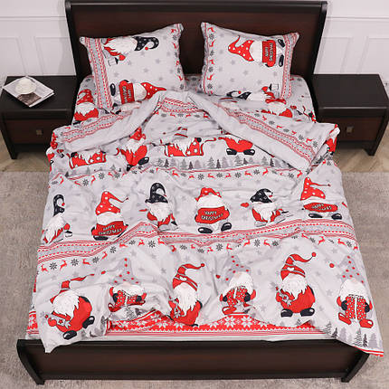 Євро-максі набір постільної білизни 200*220 з Фланелі №954628 Черешенка™, фото 1