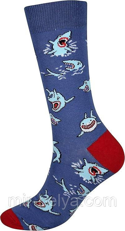 Шкарпетки чоловічі акули носки, фото 1