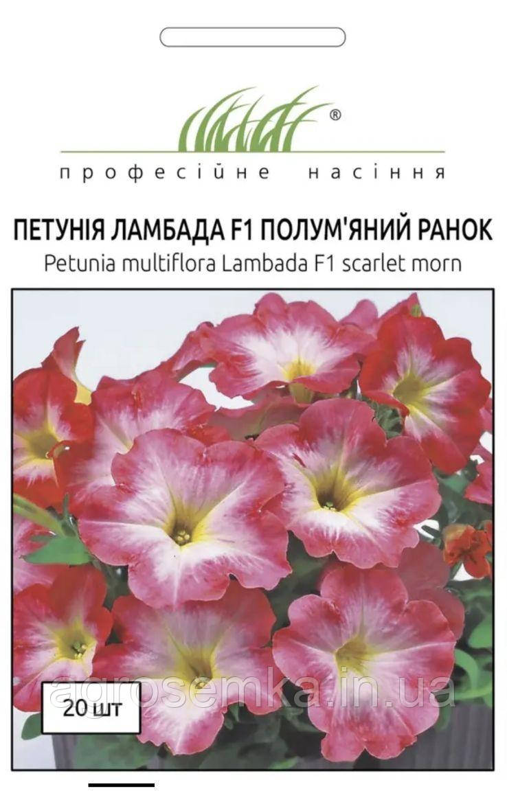 Петунія Ламбада F1 20шт / Hem Genetics, фото 1