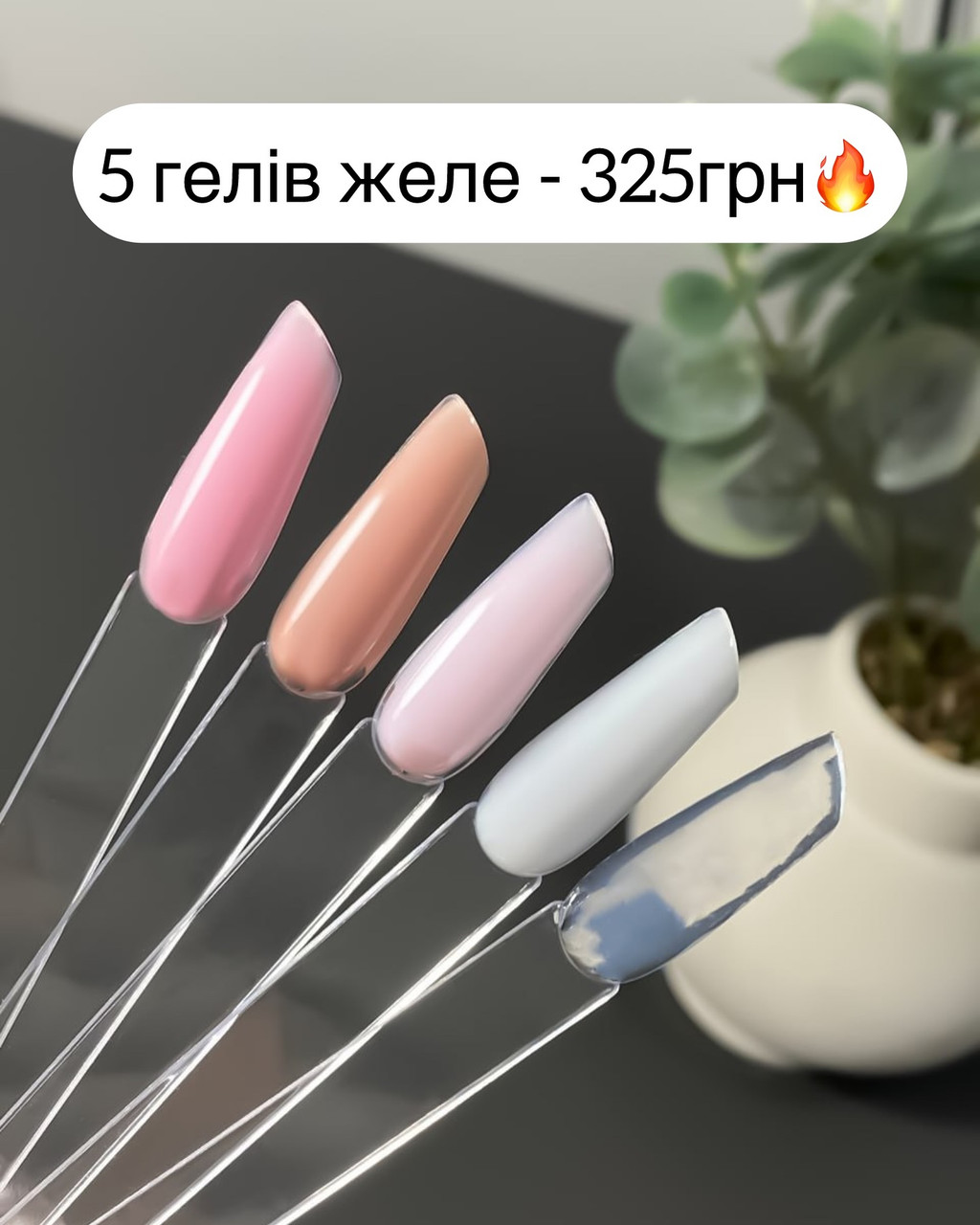 Набір з 5 гелів желе по 5мл за 325 грн