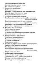 Книга «Епос про Гільгамеша». Перекладач - Михайло Москаленко, фото 5